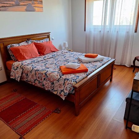 Ana Paula House Lejlighed Aveiro Eksteriør billede